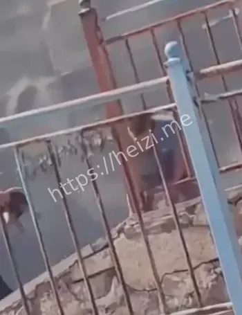 邯郸峰峰矿区砍妻儿案